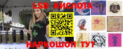 гидропоника Кимры