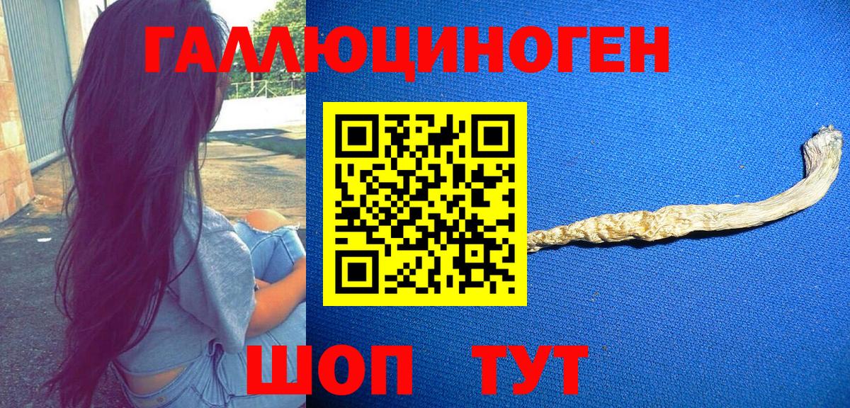 Азов  Галлюциногенные грибы прущие грибы  Вход с VPN  Галлюциногенные грибы Psilocybe 